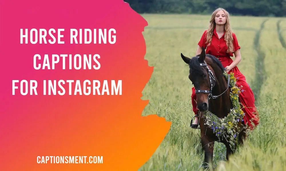 Horse Riding Captions For Instagram