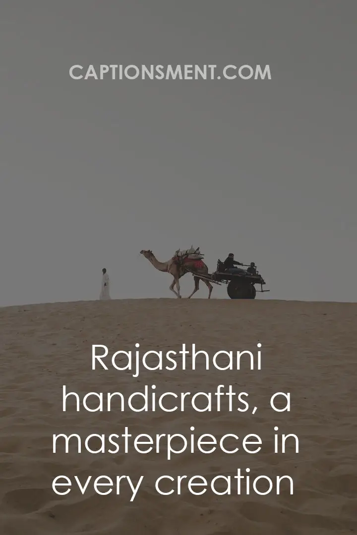 Rajasthan Trip Captions For Instagram