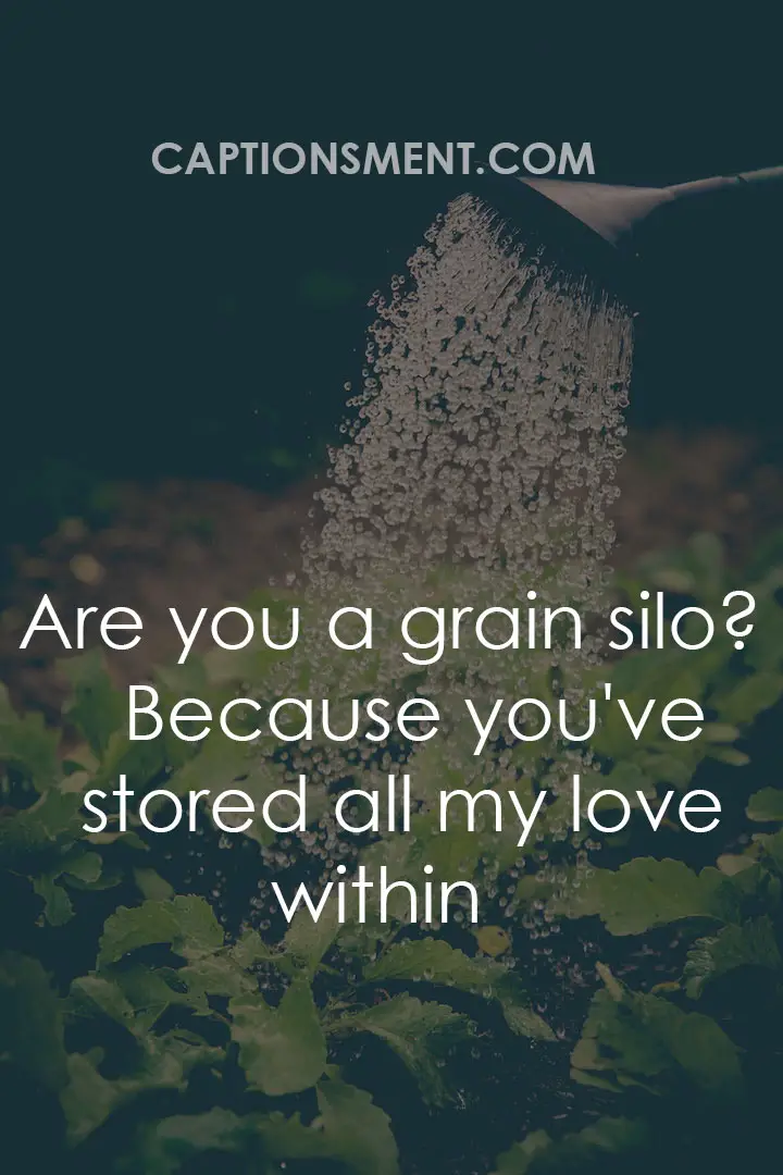 Cheesy Agriculture Pick Up Lines
