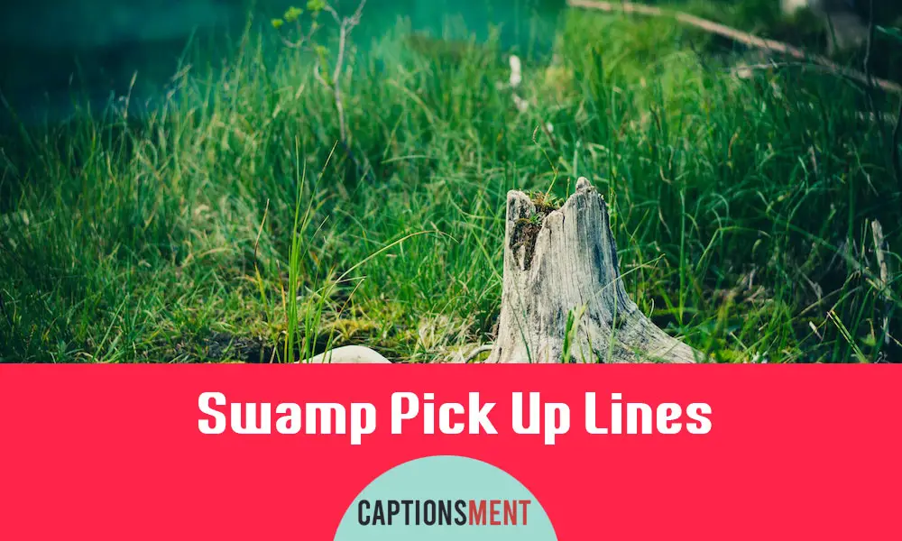Swamp Pick Up Lines