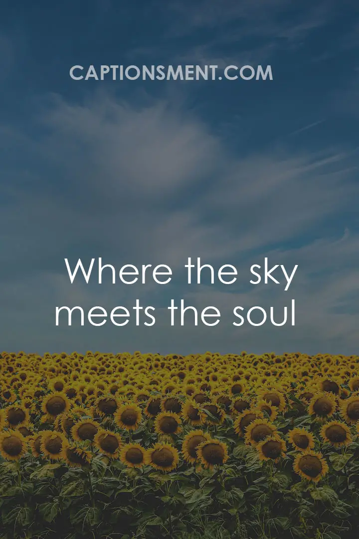 Blue Sky Quotes For Instagram