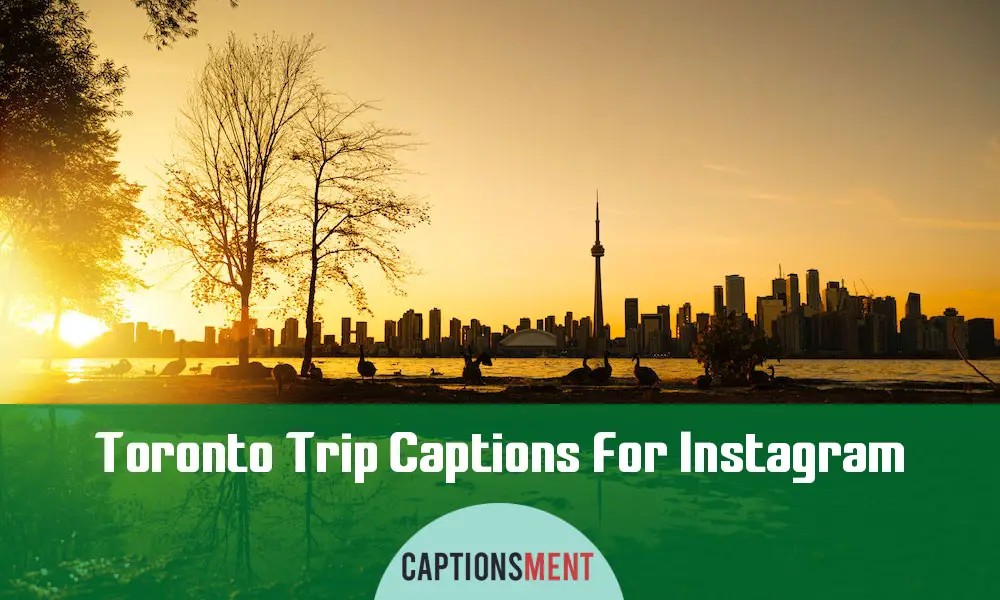 Toronto Trip Captions For Instagram