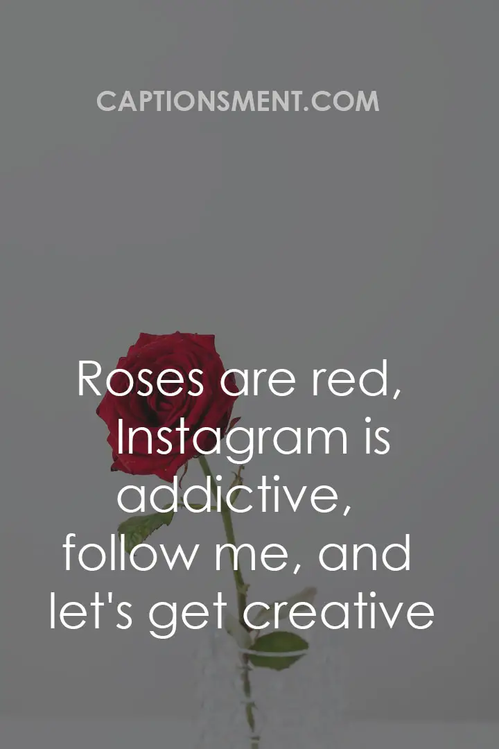 Beautiful Rose Captions For Instagram