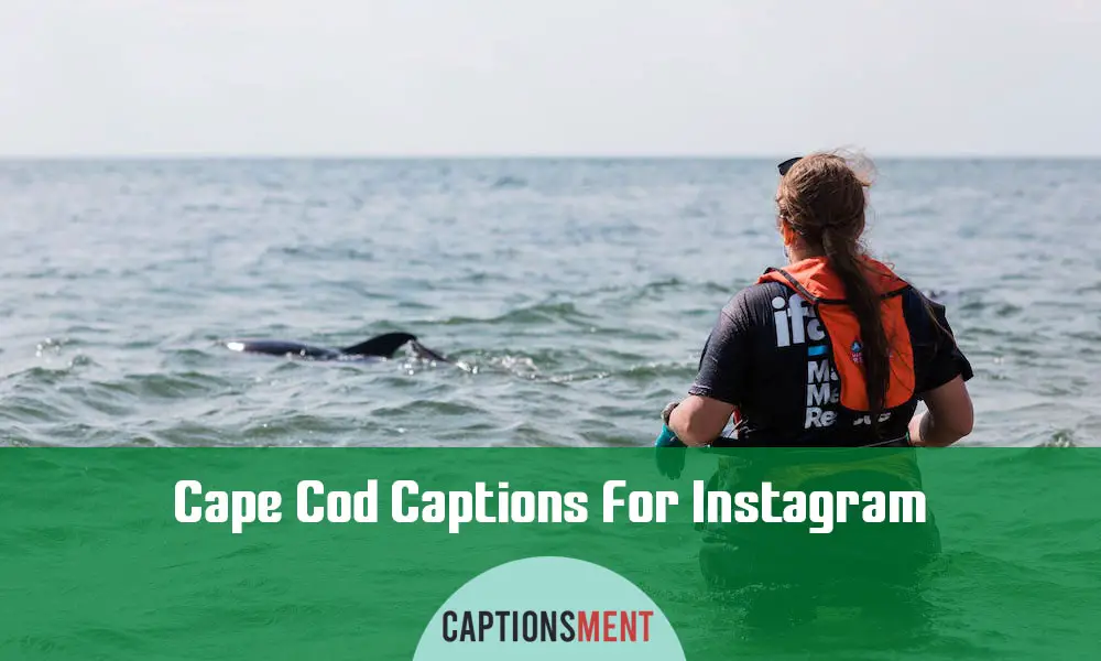 Cape Cod Captions For Instagram