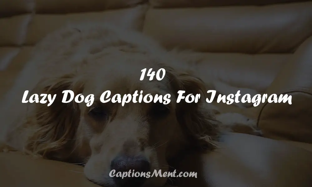 Lazy Dog Captions For Instagram