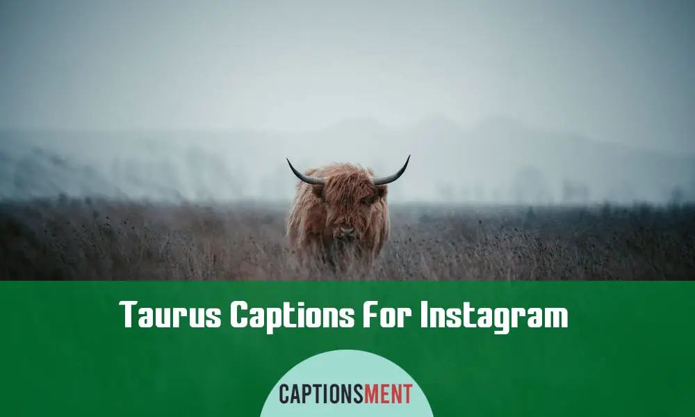 Taurus Captions For Instagram