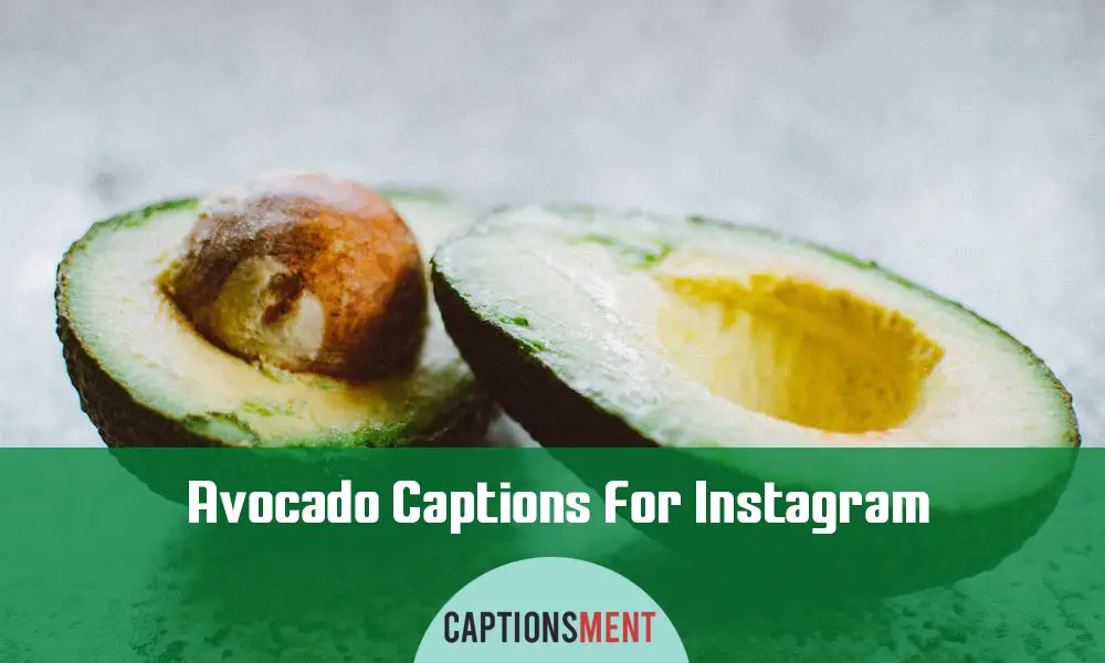 Avocado Captions For Instagram