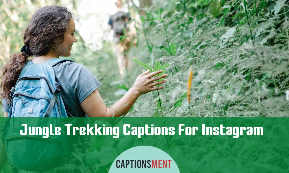 Jungle Trekking Captions For Instagram