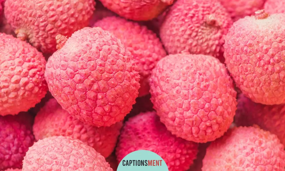 Lychee Captions For Instagram