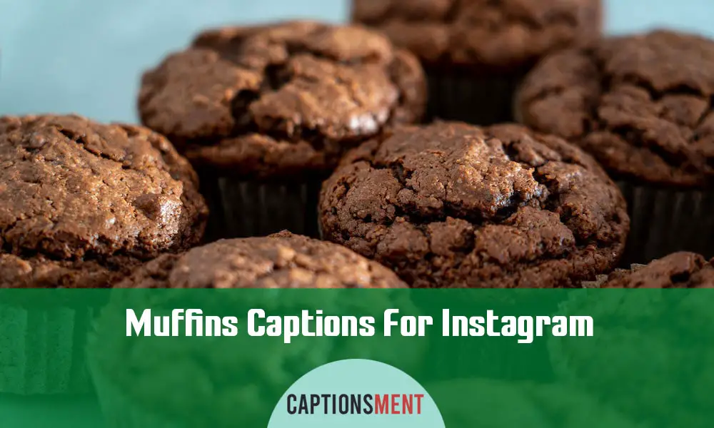 Muffins Captions For Instagram
