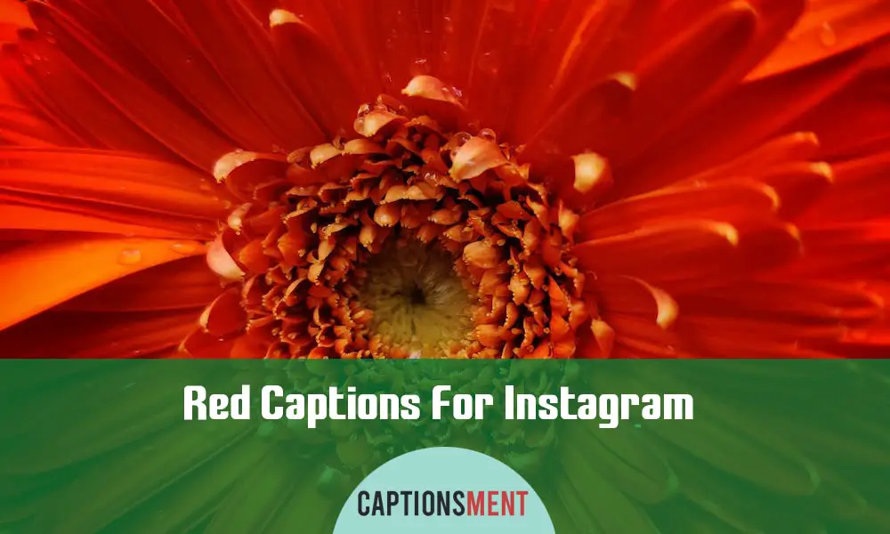 Red Captions For Instagram