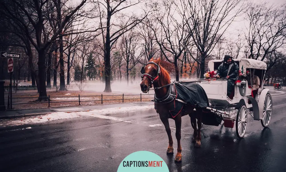 Central Park Captions For Instagram