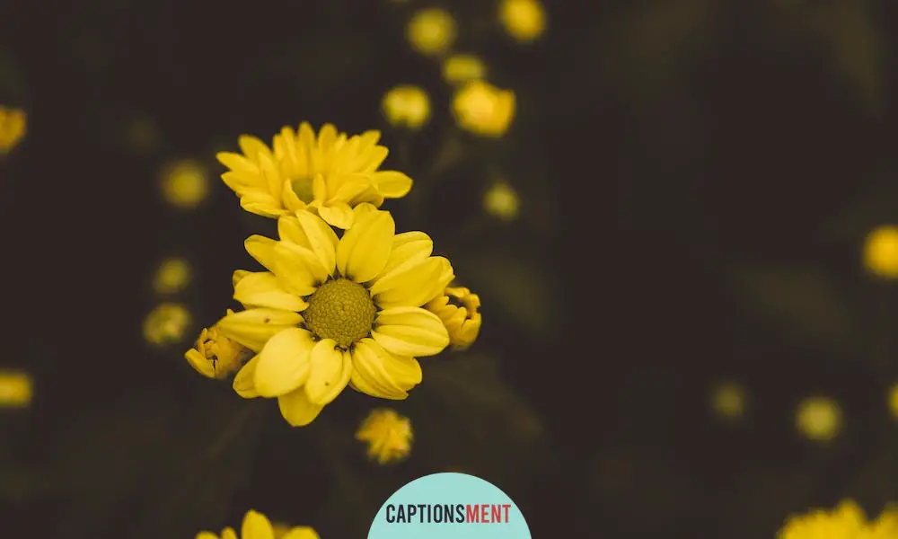 Empowering Growth Captions For instagram