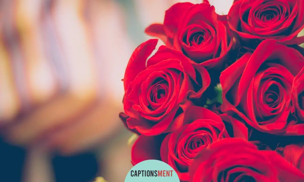 Red Roses Bouquet Captions For Instagram