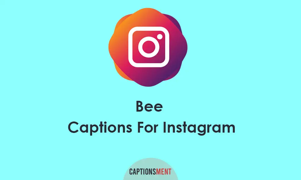 Bee Captions For Instagram